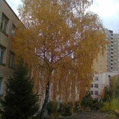 Спеціалізована школа №159 - 2 Спеціалізована школа №159 - 2