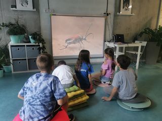Savage Kangaroo School - 3 Savage Kangaroo School - 3