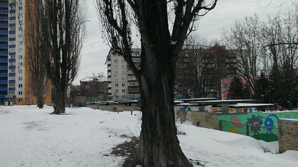 Школа-детский сад "Изюминка" - 3 Школа-детский сад "Изюминка" - 3