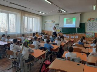 Васильковский лицей №6 - 2 Васильковский лицей №6 - 2