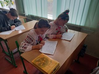 Володарський ліцей ім. В. П. Мельника - 5 Володарський ліцей ім. В. П. Мельника - 5