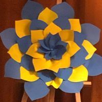 КЗ КОР "Васильківська спеціальна школа" КЗ КОР "Васильківська спеціальна школа"